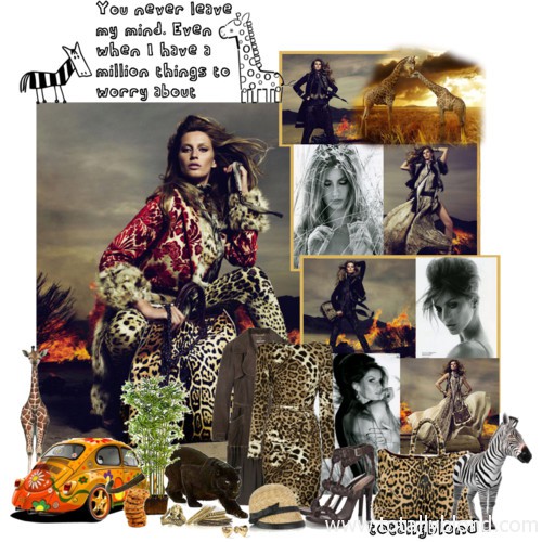 Roberto Cavalli tribute