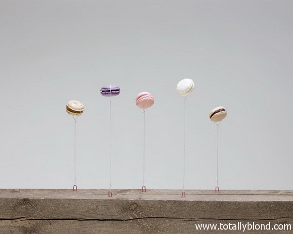 carl-kleiner-still-life-5_