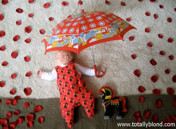rainofroses