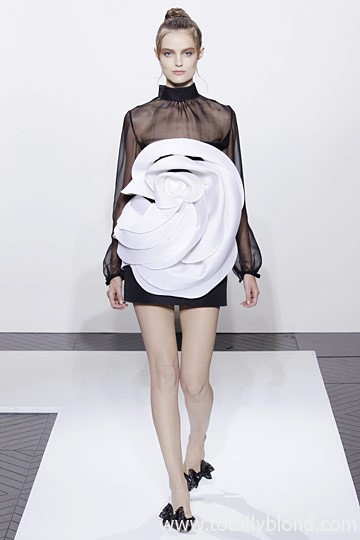 ss11