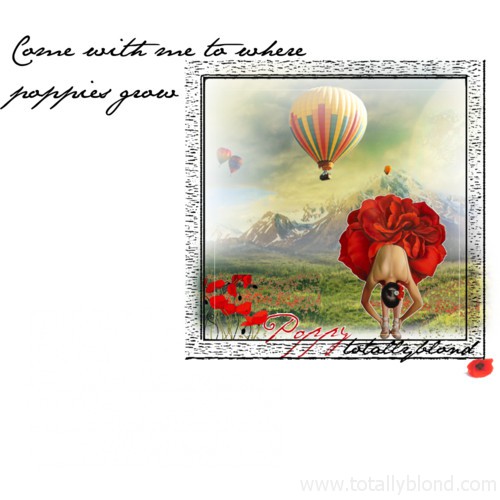 Come with me to where poppies grow