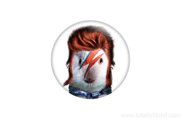 David Bowie
