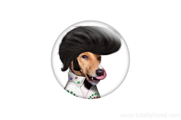 Elvis Presley
