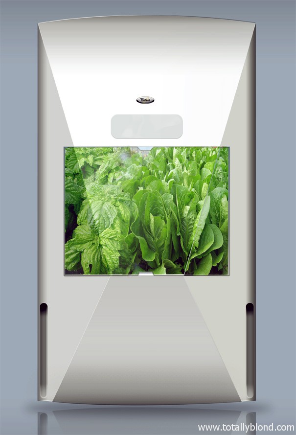 kitchen_garden