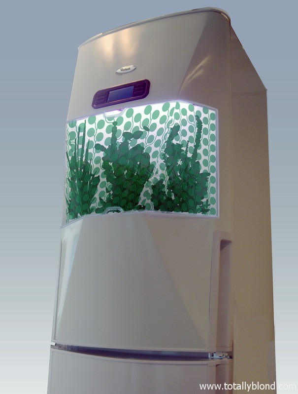 kitchen_garden3