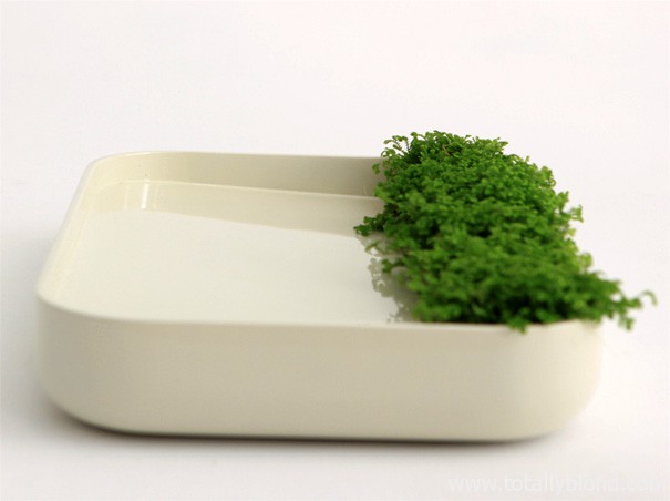 lawn_for_rain3