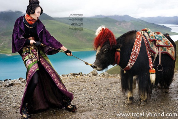 Spread_Tibet.indd
