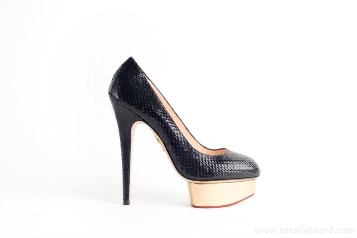 DOLLY - BLACK PYTHON