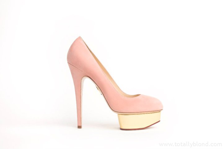 DOLLY - ROSE
