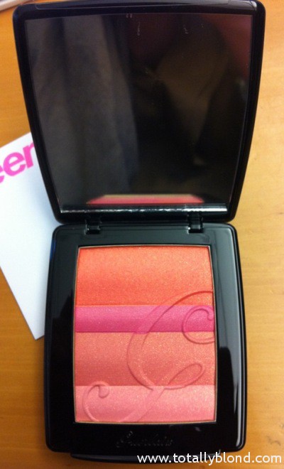 Guerlain-Spring-2011-makeup-collection-blush
