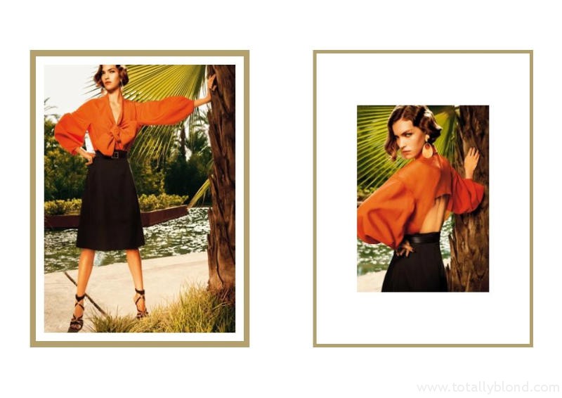 yslcampaign1