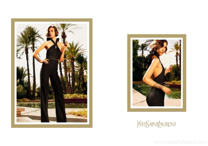 yslcampaign11