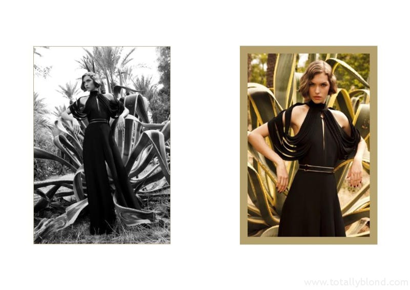 yslcampaign2