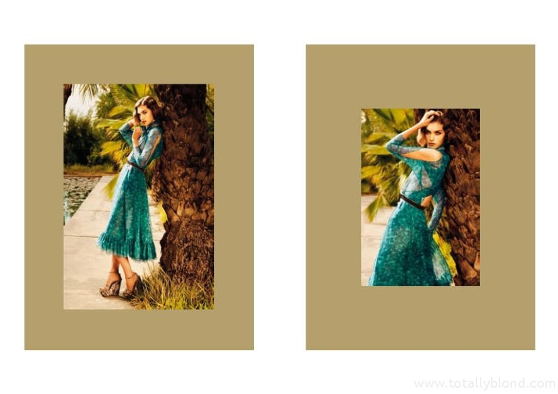 yslcampaign4