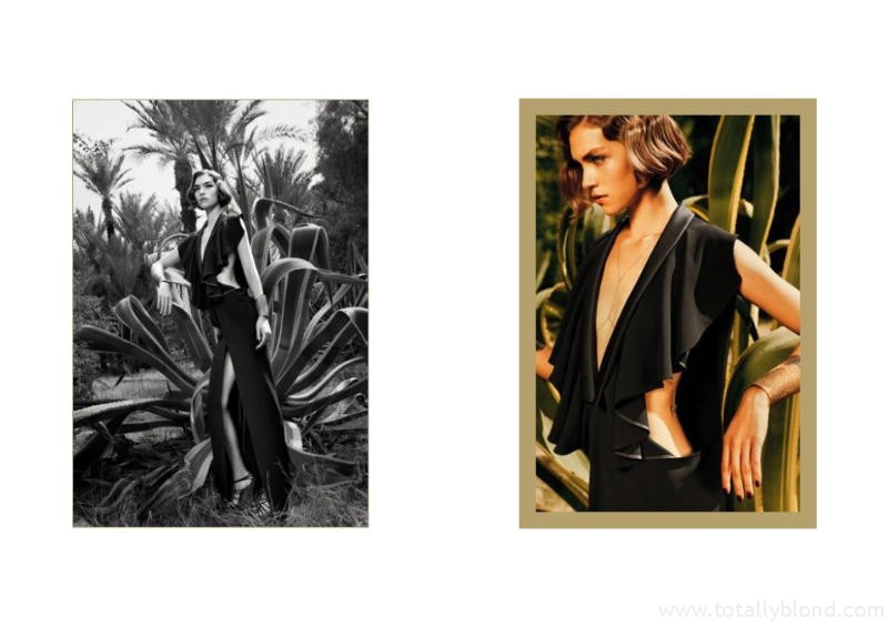 yslcampaign5