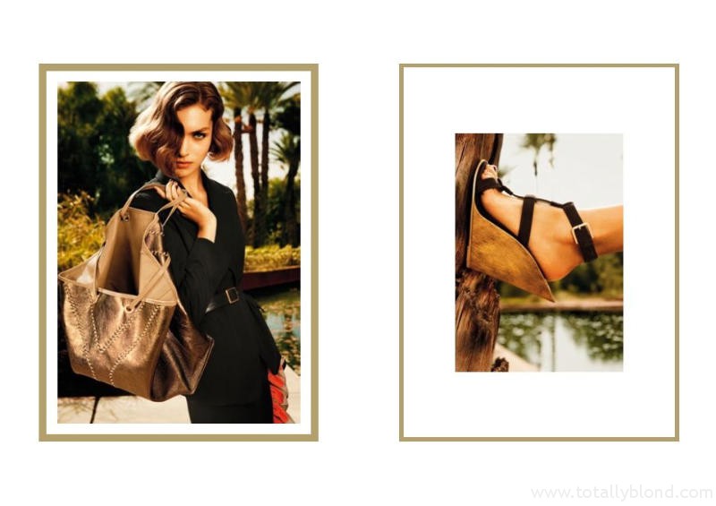 yslcampaign7