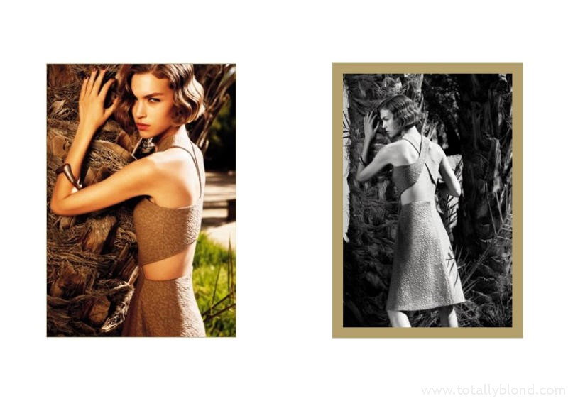 yslcampaign8