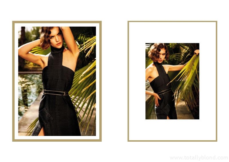 yslcampaign9