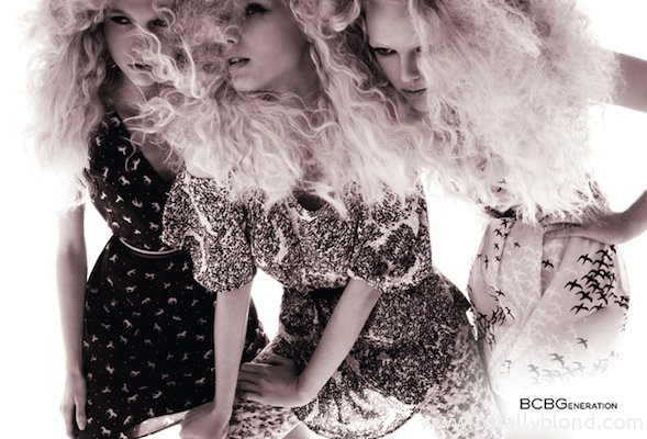 bcbg1