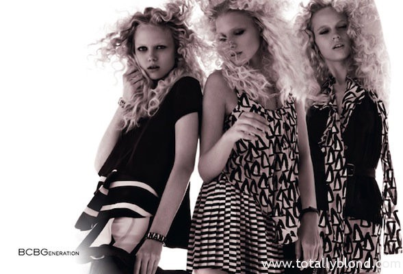 bcbg3