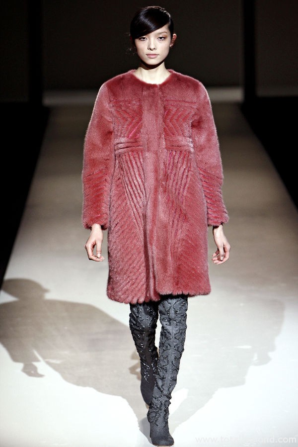 albertaferrettifall15