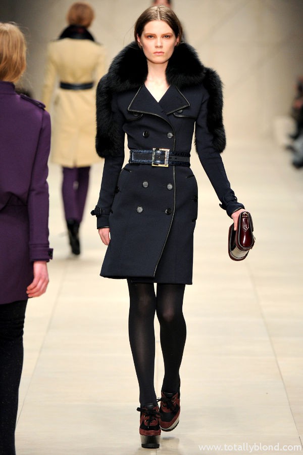 burberryfall32