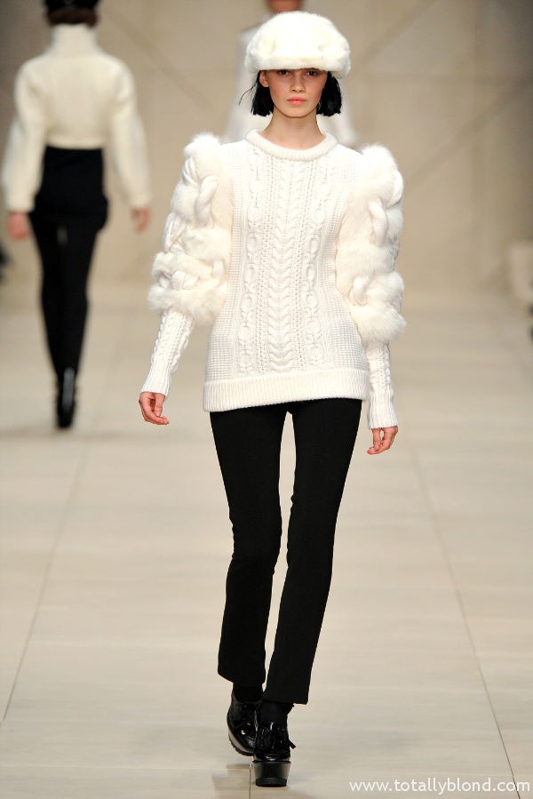 burberryfall38