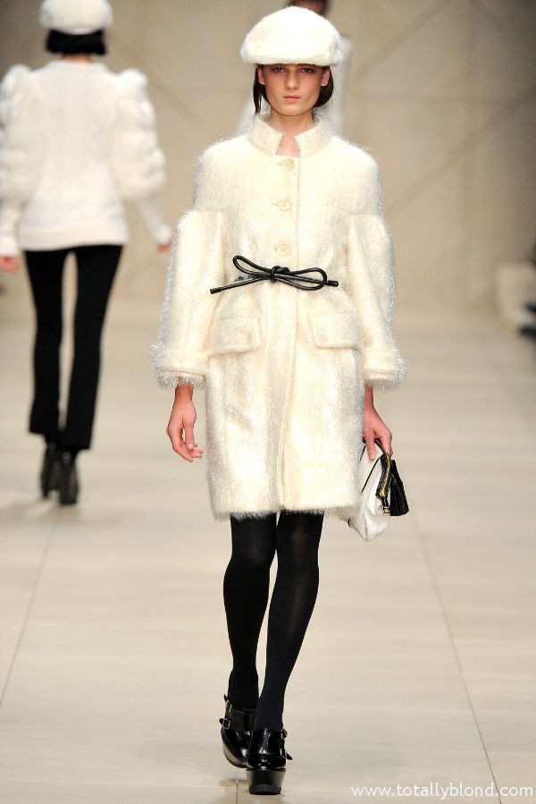 burberryfall40