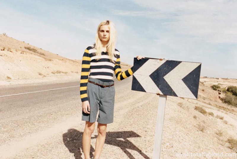 marccampaign8