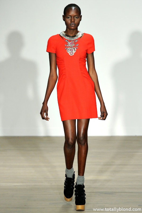 matthewwilliamsonfall12