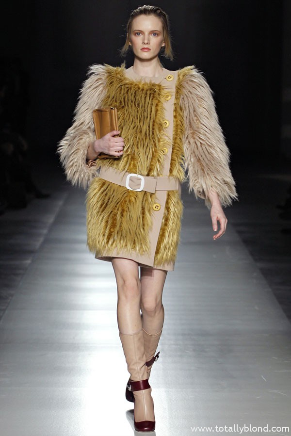 pradafall26