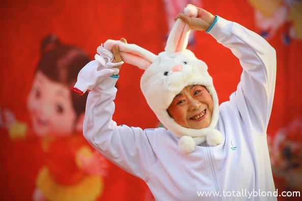 rabbit year