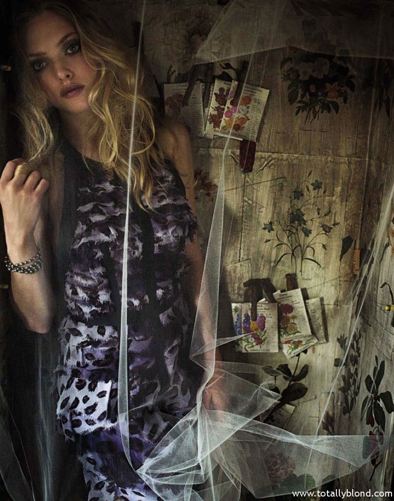 amanda-seyfried3