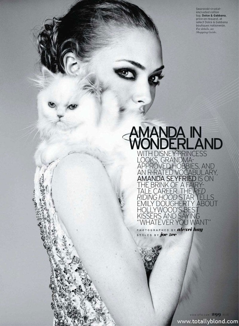 amanda-seyfried3