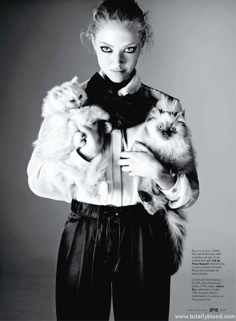 amanda-seyfried5