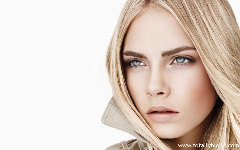 burberry1