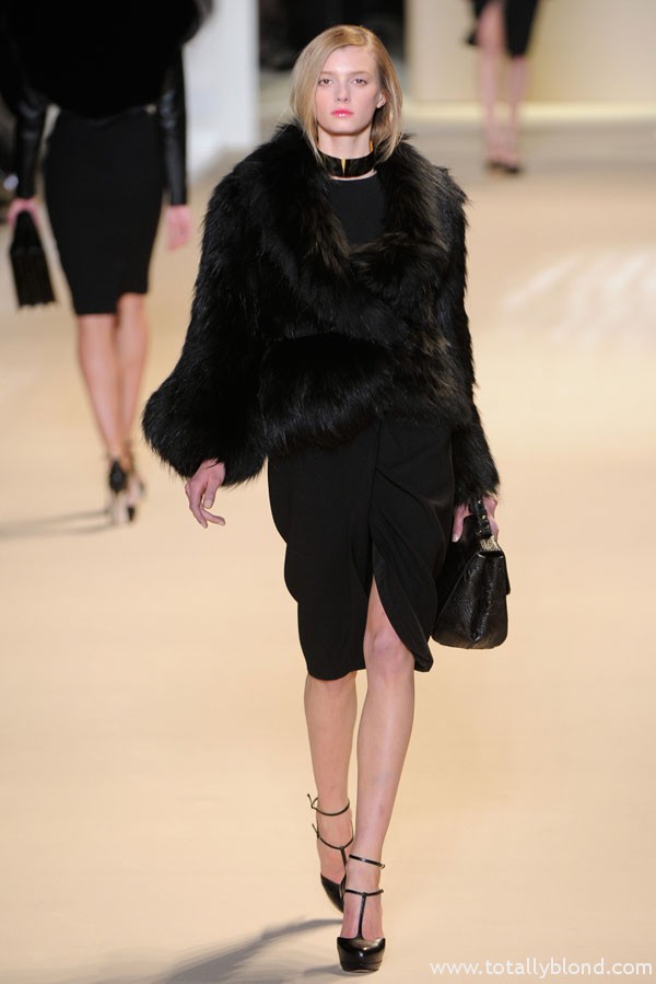 eliesaabfall3