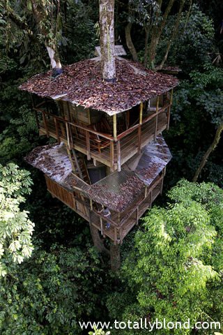 finca-bellavista-0
