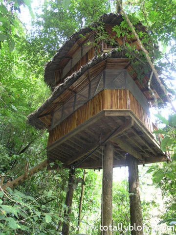 finca-bellavista-1