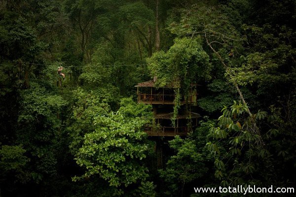 finca-bellavista-10