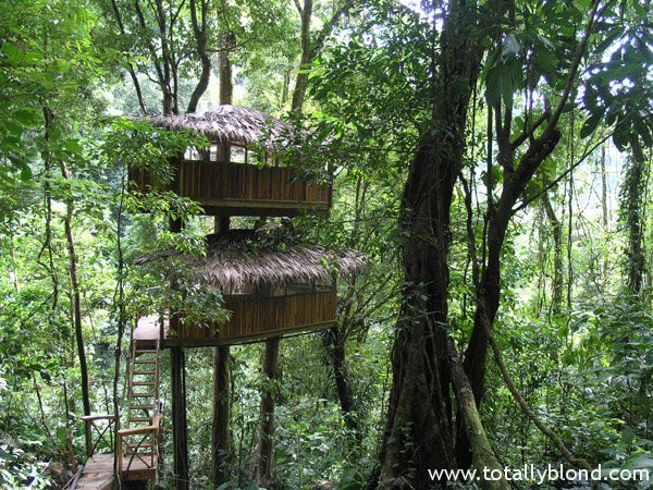 finca-bellavista-15