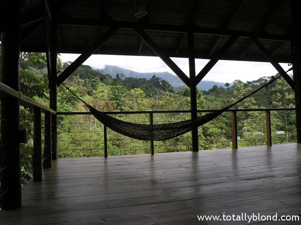 finca-bellavista-21