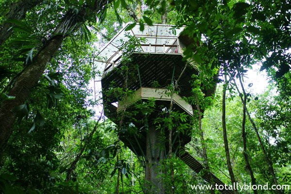 finca-bellavista-22