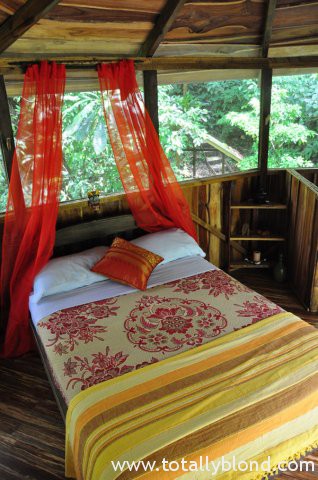 finca-bellavista-23