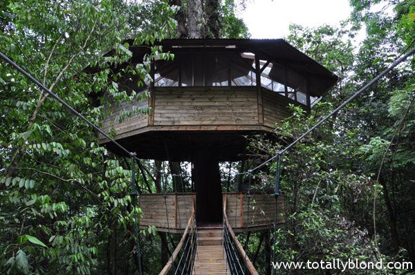 finca-bellavista-25