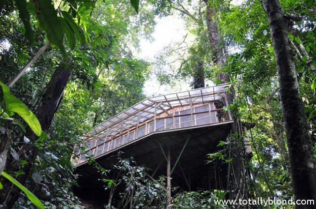 finca-bellavista-27