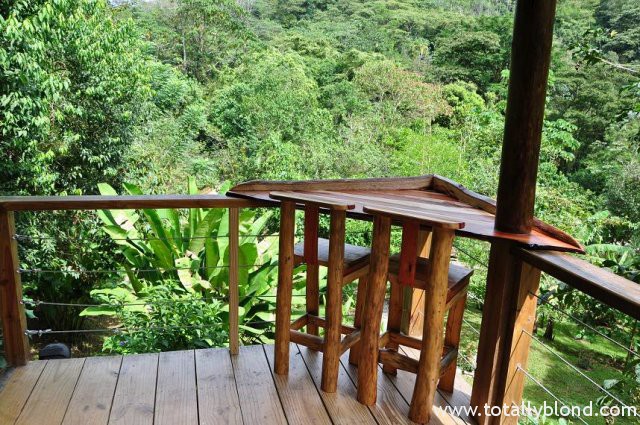 finca-bellavista-28