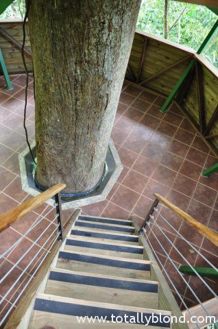finca-bellavista-29
