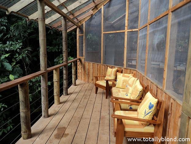 finca-bellavista-35