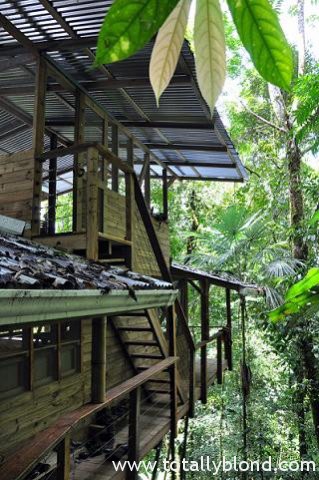 finca-bellavista-37
